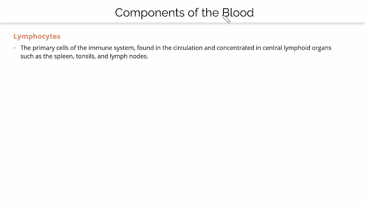 What cells are necessary for vessel repair and clotting 